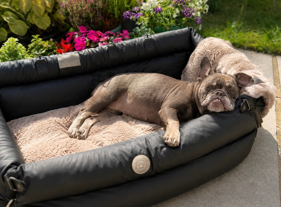 XL Luxury Dog Car Seat & Sofa Bed