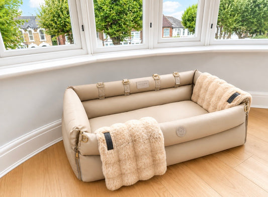 XL Luxury Dog Car Seat & Sofa Bed + XL Blanket