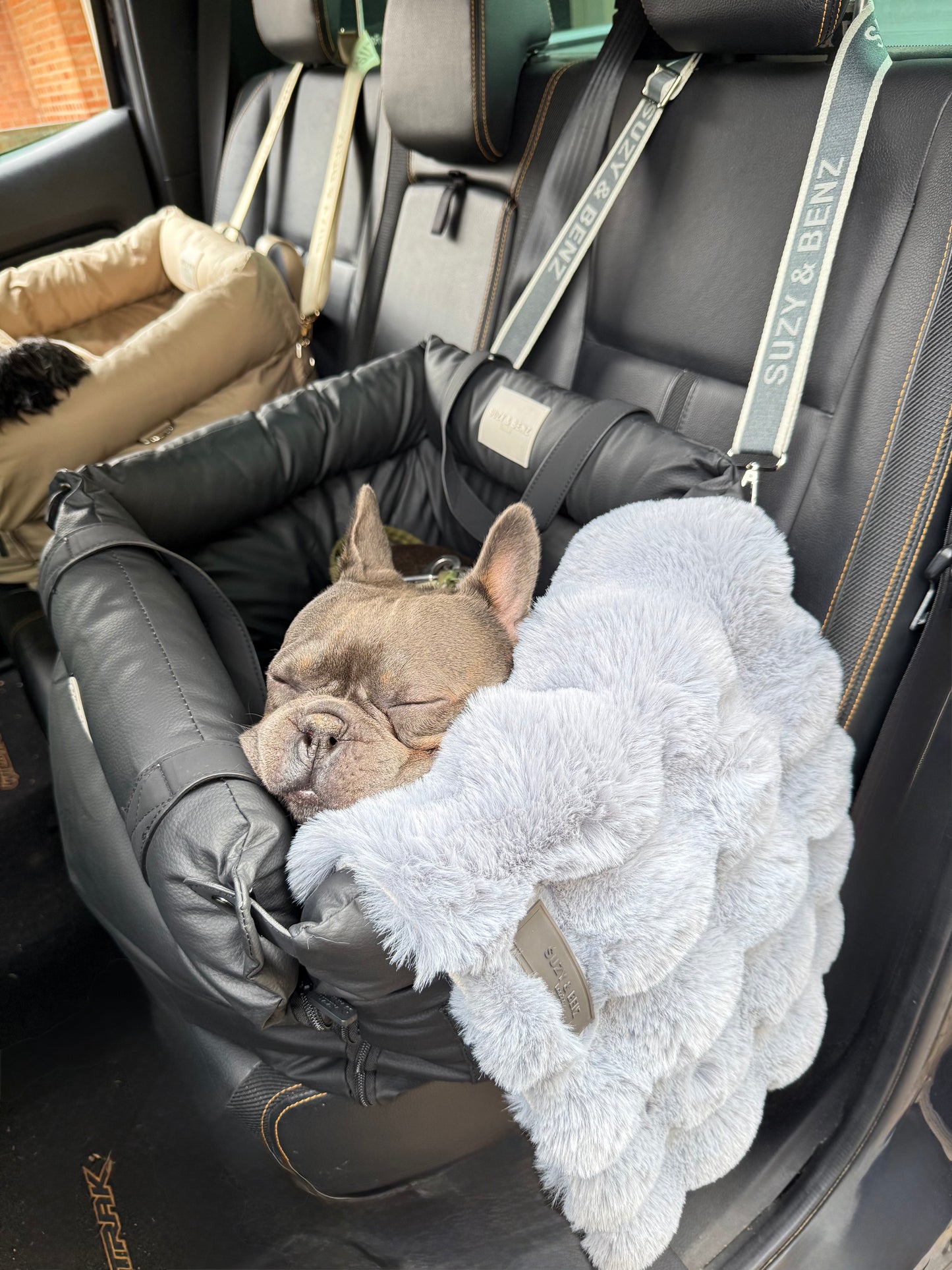 Luxury Blankets